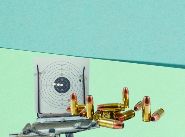 Zrzut ekranu 14 2 2025 9231 oil.lodz.pl